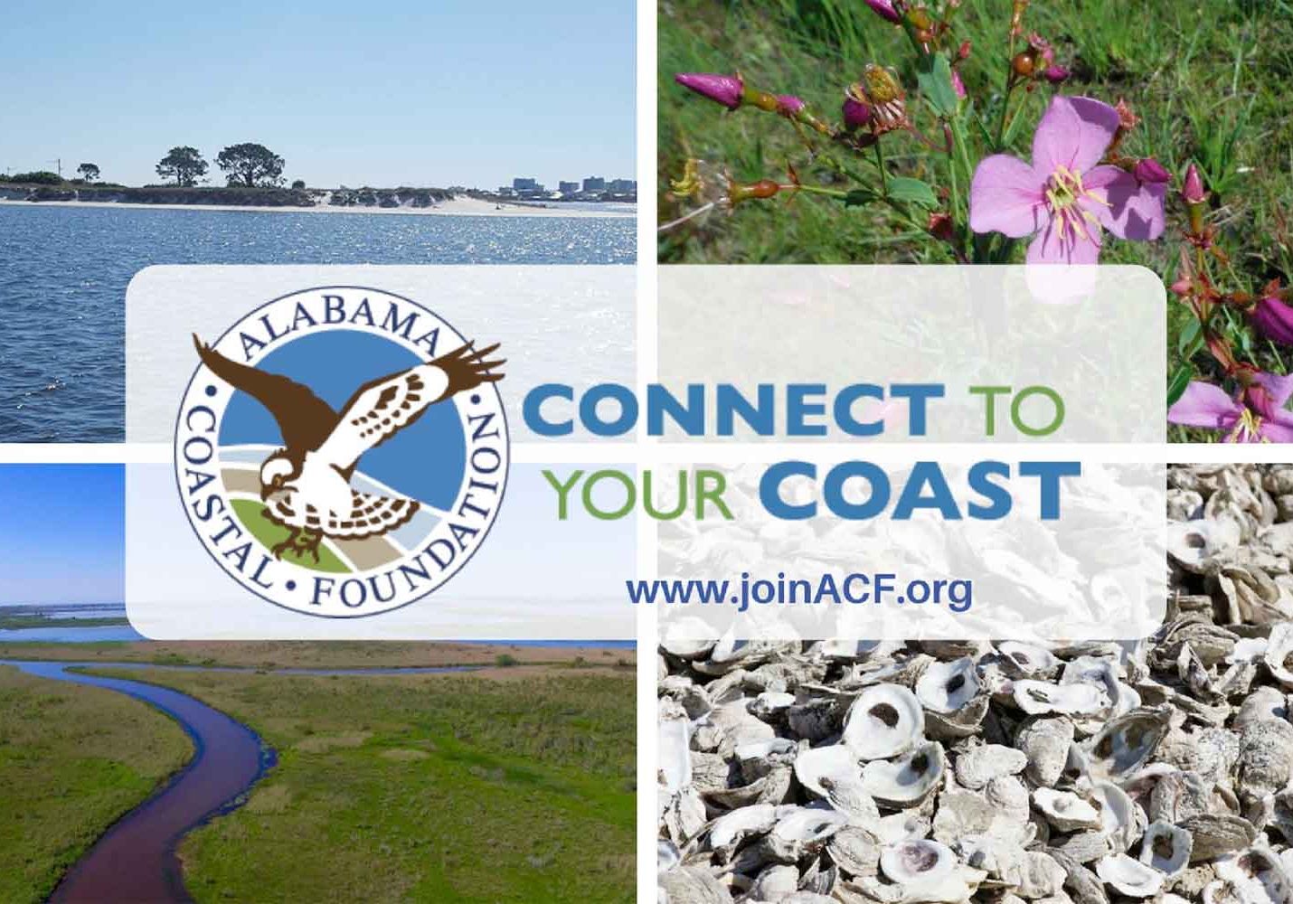 Alabama Coastal Foundation (ACF) Outreach Event