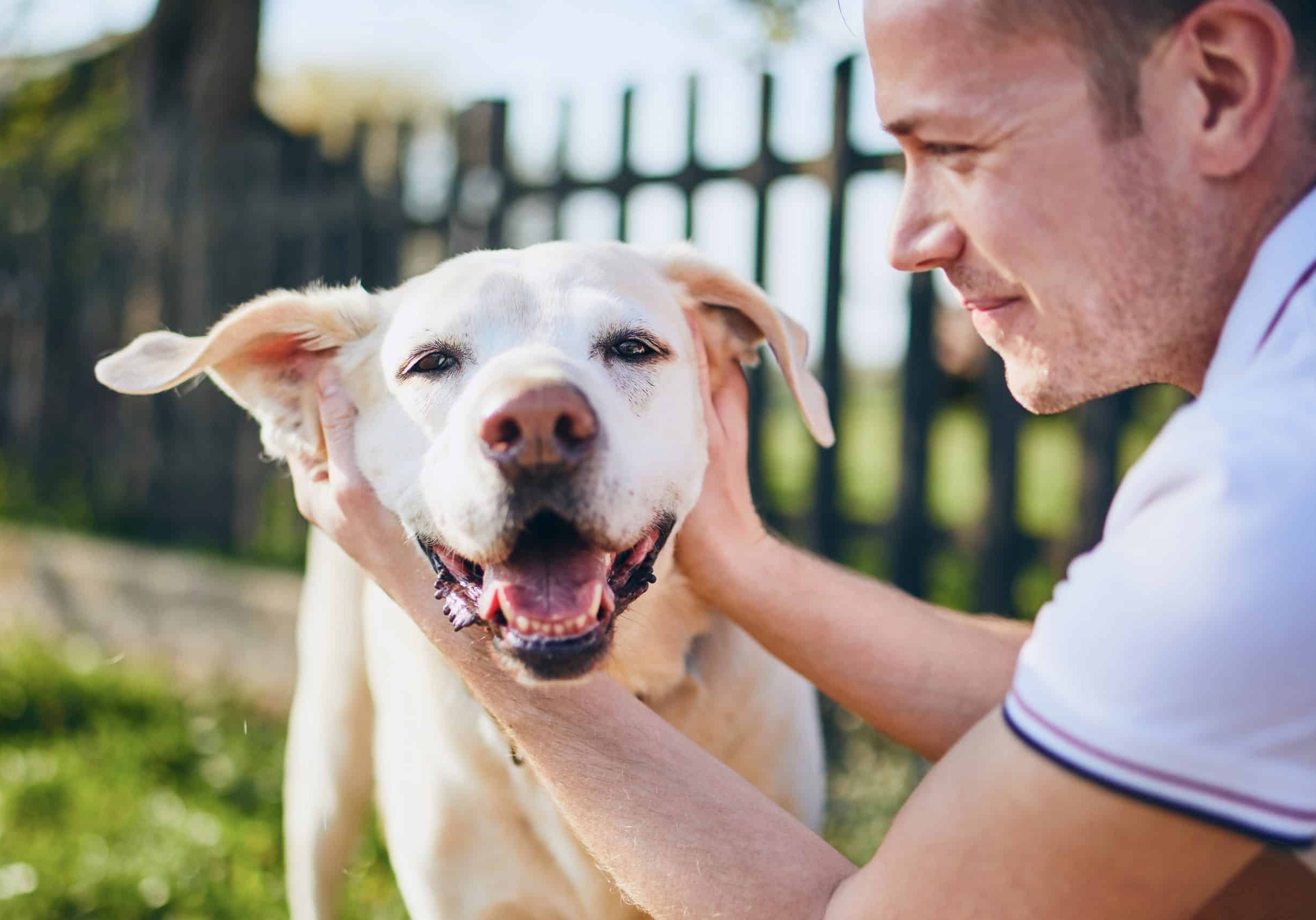 Fido Technologies, matches users with their perfect dog | <a href="https://www.shutterstock.com/image-photo/happy-dog-his-owner-young-man-1376948951" target="_blank" rel="noopener">Shutterstock.com</a>