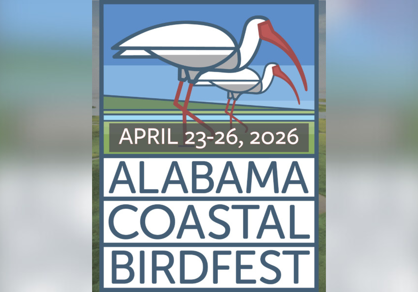 birdfest to return in 2026 with new host