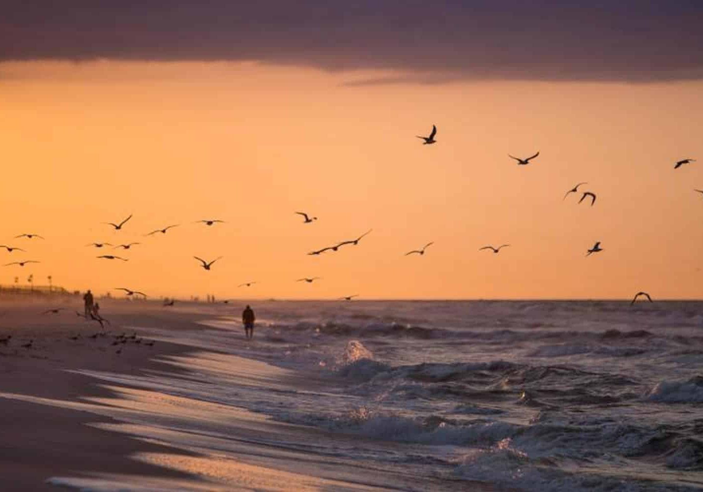 Coastal Water Quality Projects Announced
