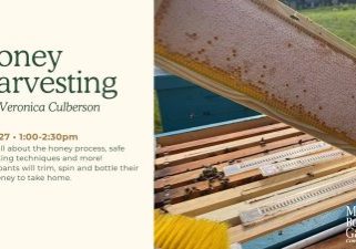 Honey Harvesting Workshop Coming To MBG