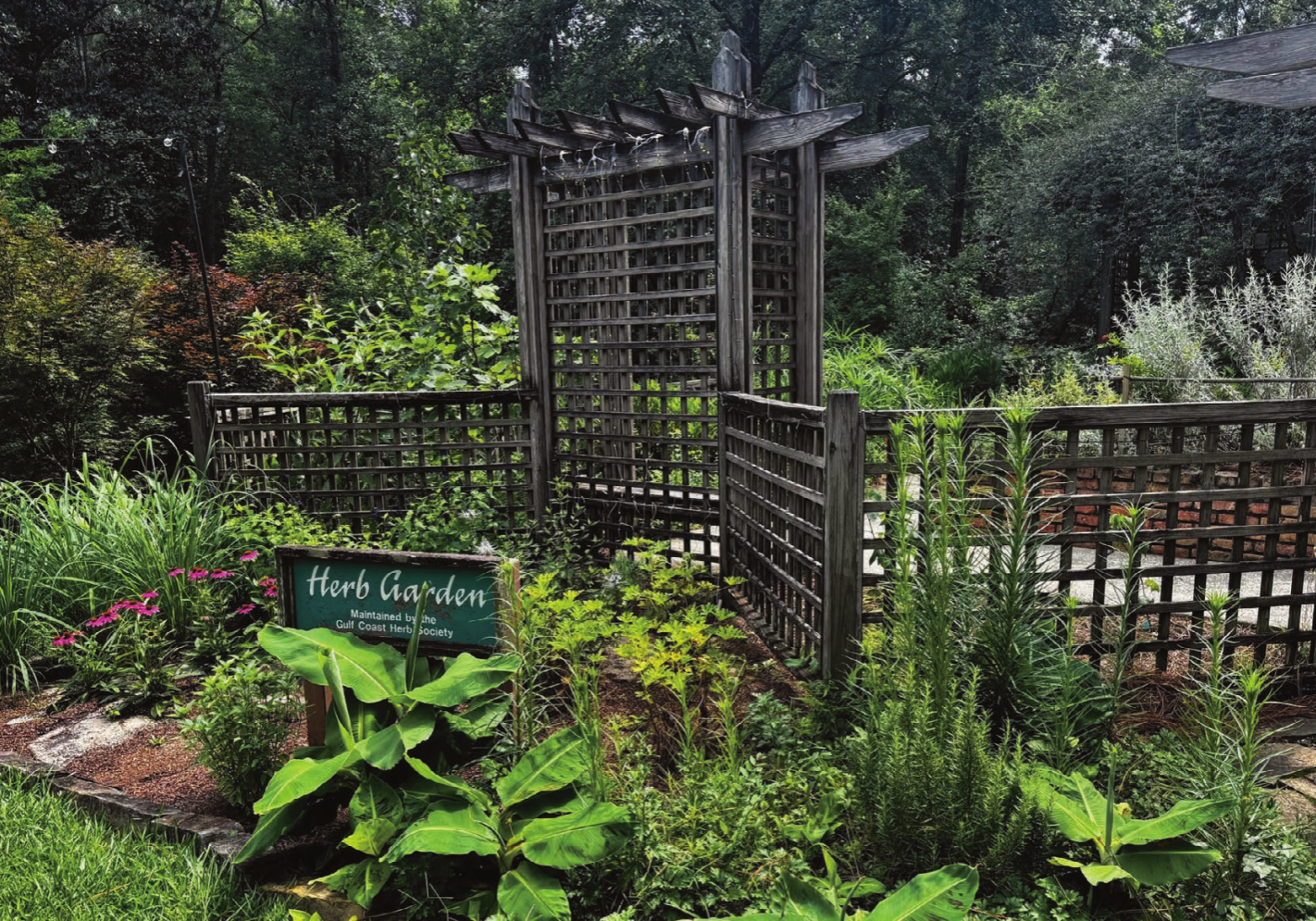 Herb garden with wooden lattice arbor and lush plantings at Mobile Botanical Gardens
