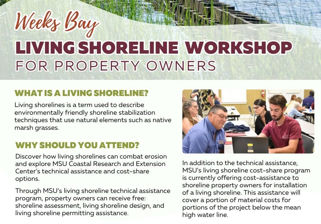 Living Shoreline Workshop Coming To Fairhope