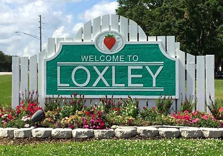 Loxley To Offer Scholarship For City Logo Design