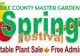 Master Gardeners Spring Festival Announced