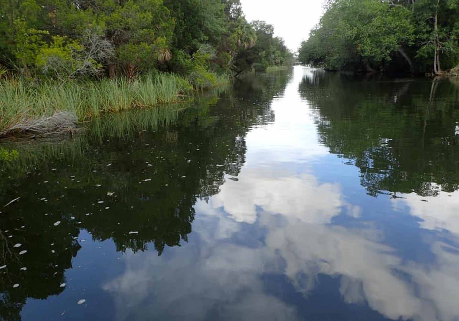 MTA Watershed Draft Management Plan Released