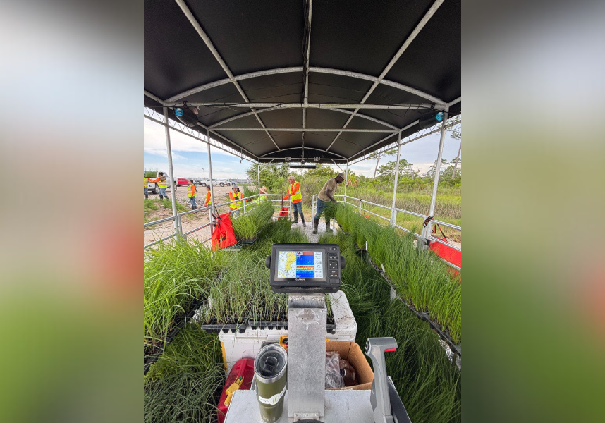 native planting effort for Walker Island coming up