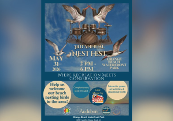 nest fest coming to orange beach