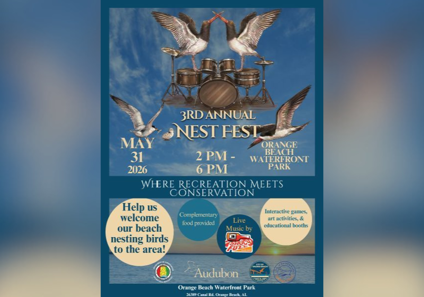 nest fest coming to orange beach