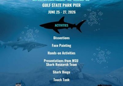 Shark Fest Announced For Gulf State Park