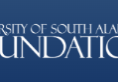 USA Foundation Surpasses $300-Million Milestone