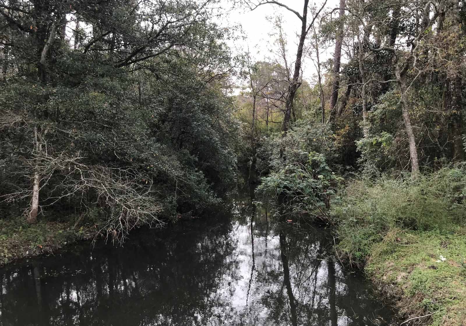 Work To Come On Wolf Bay-Area Watersheds